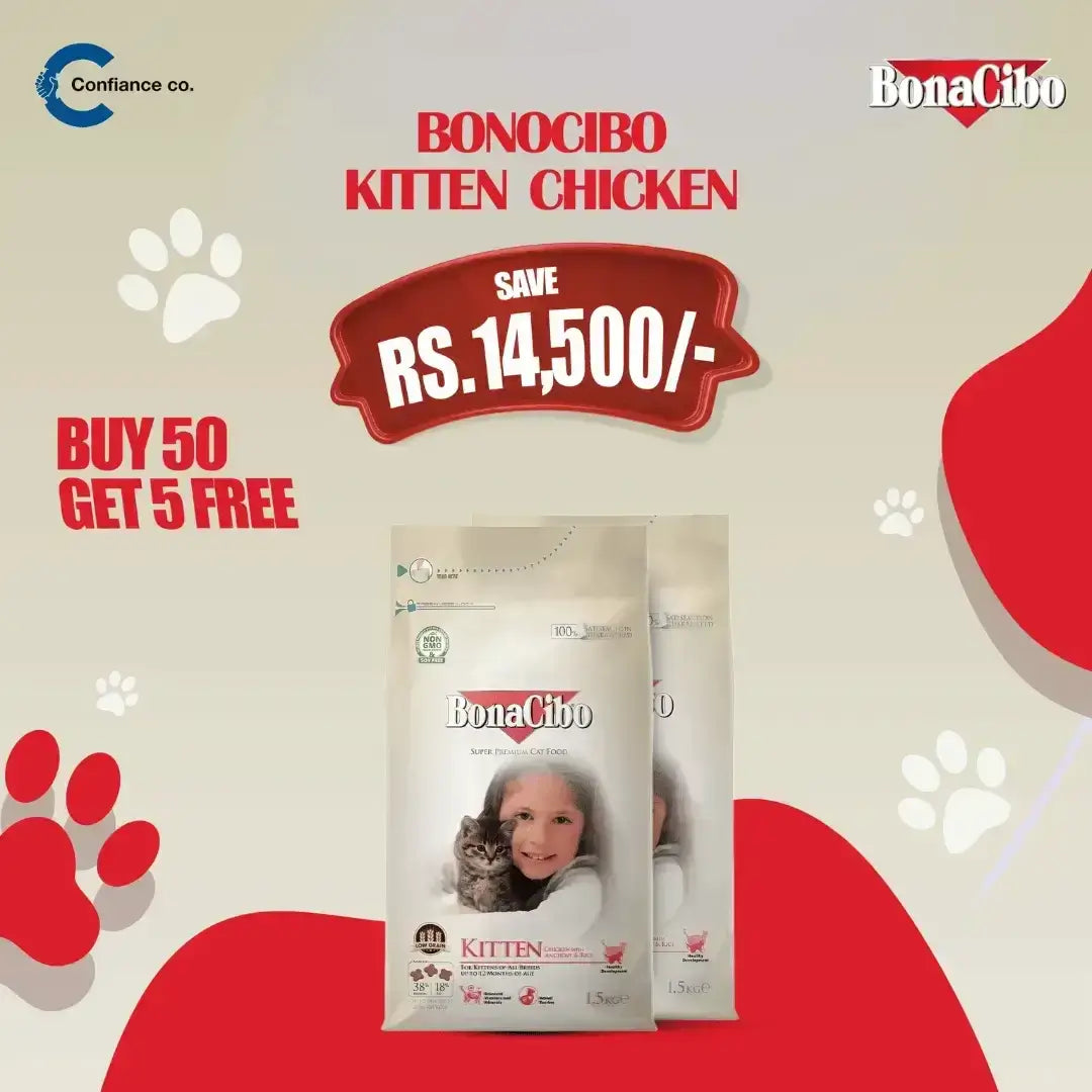 Bonacibo Kitten Deal 50+5 - Confiance Co